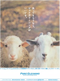 洗ってもらうなら、ピュアクリーニングがいいです。