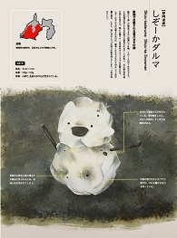 しぞーかダルマの謎