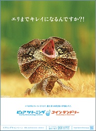 エリまでキレイになるんですか？！